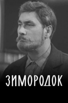Зимородок