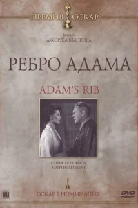  Ребро Адама 