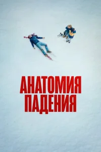 Анатомия падения Анатомия падения