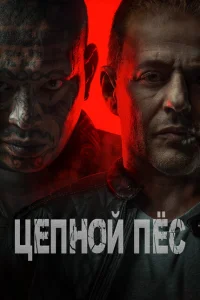 Цепной пёс Цепной пёс