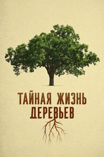Тайная жизнь деревьев